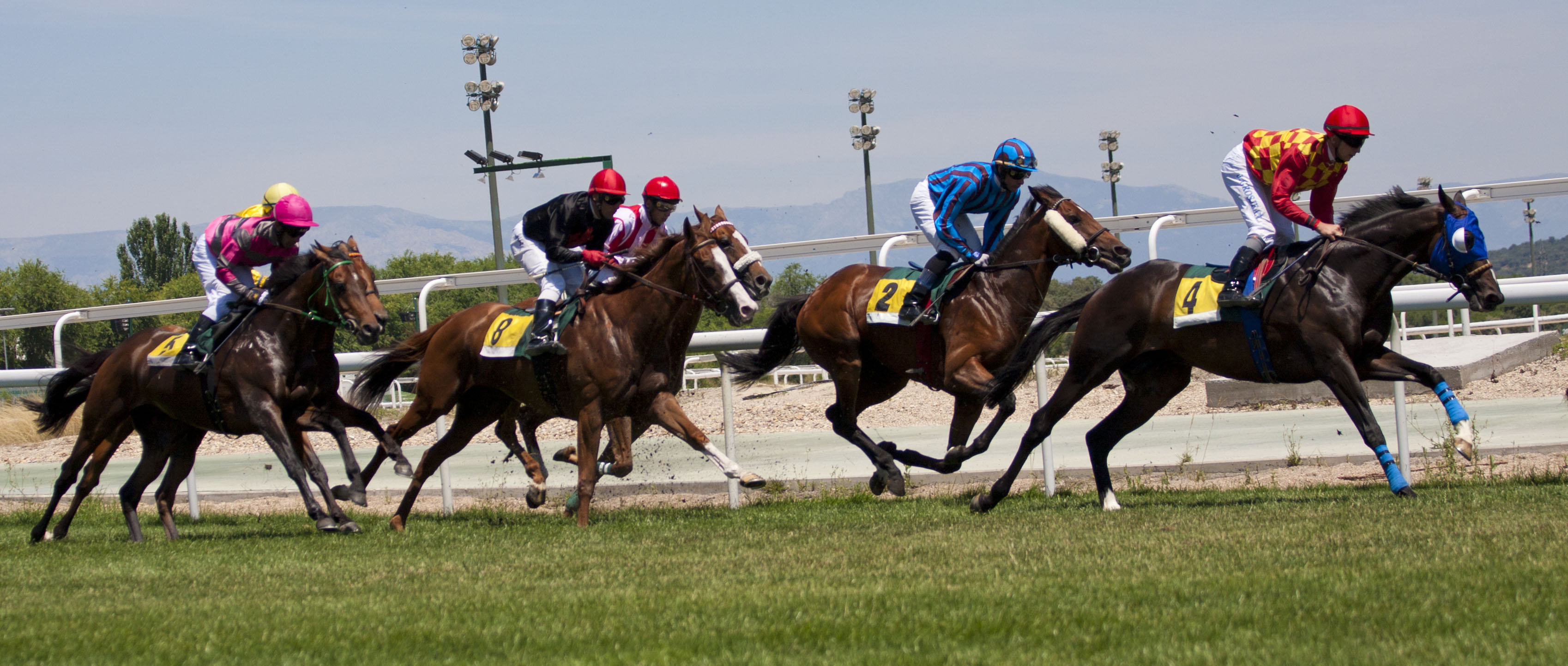Matched Betting